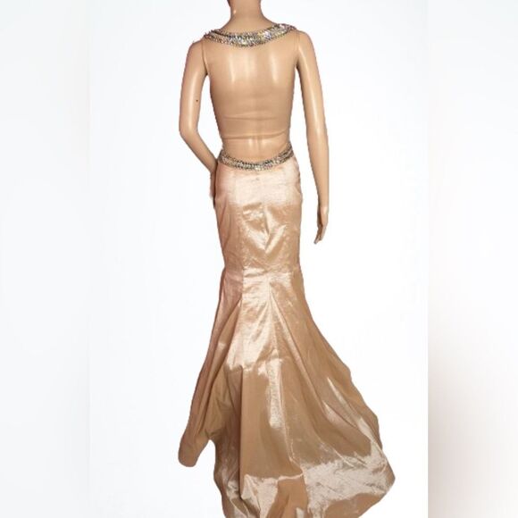 Rachel Allen Princess Champagne Gown - Picture 2 of 11